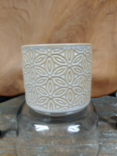 Load image into Gallery viewer, Set of 4  Succulent Planters | Gold/Yellow | 3&quot; Glazed Ceramic mini pots