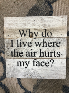 Why Do I Live Where the Air Hurts my Face |  6" Humorous Signs