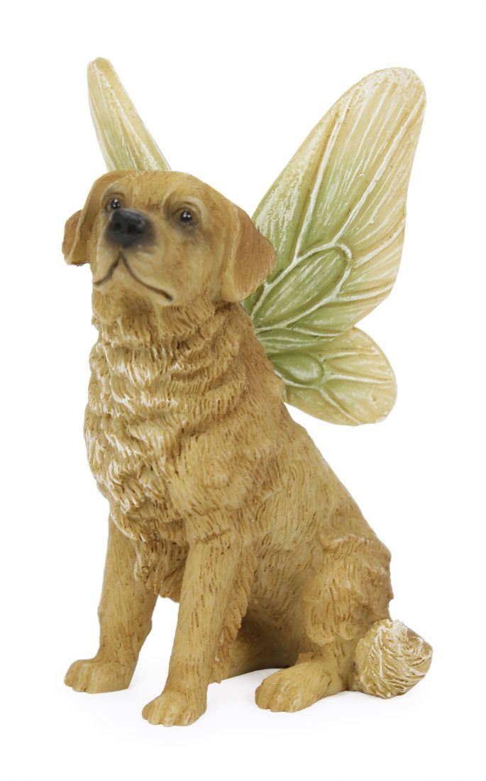 cute golden retriever sitting.  He has green wings fading to  yellow on the edges.  Big brown eyes and black nose and his ears are down.