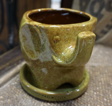 Load image into Gallery viewer, 5&quot; Succulent Elephant pot Ceramic Planters