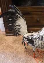 Load image into Gallery viewer, THIS BLACK AND WHITE METAL ROOSTER IS SITTING ON A CEMENT FLOOR, SHOWING A SIDE VIEW OF THE TAIL FEATHERS. IT HAS POWDER-COATED IRON|IS 23 INCHES LONG BY 9 INCHES WIDE BY 23 INCHES HIGH. IT IS FREESTANDING WITH MALLEABLE FEATHERS AND HAS A HAND-PAINTED NATURAL FINISH.
