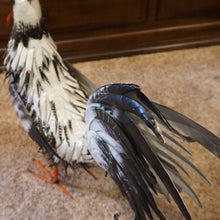 Load image into Gallery viewer, THIS BLACK AND WHITE METAL ROOSTER IS SITTING ON A CEMENT FLOOR, SHOWING THE BACKSIDE. IT HAS POWDER-COATED IRON|IS 23 INCHES LONG BY 9 INCHES WIDE BY 23 INCHES HIGH. IT IS FREESTANDING WITH MALLEABLE FEATHERS AND HAS A HAND-PAINTED NATURAL FINISH.