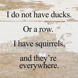 I do not have ducks. Or in a Row. I have squirrels, and they're every where.