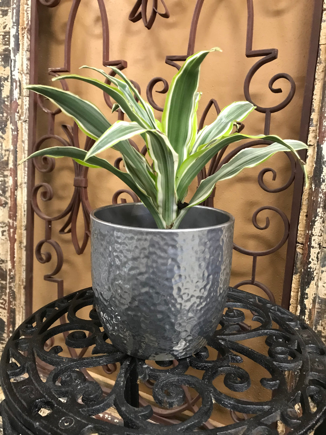 Silver Ceramic Hammered Look Planter | 6