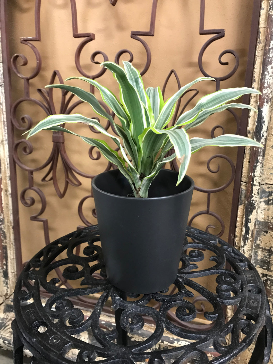 Sleek Modern Matte Black Glazed Ceramic Planter | Satin Finish | 5
