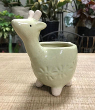 Load image into Gallery viewer, Mini Ceramic Animal Planters for Succulents