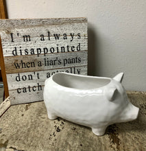 Load image into Gallery viewer, White Ceramic Pig Planter