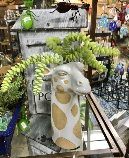 Tall white giraffe planter or vase.  It has tan spots.  The opening is at the top of the head.  No drainage hole.  Great for succulents