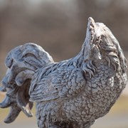 Rooster & Hen Statue |  Rooster Planters Hen
