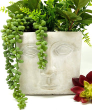 Load image into Gallery viewer, Planter Face Shaped Square flower pot for succulents or favorite house plant