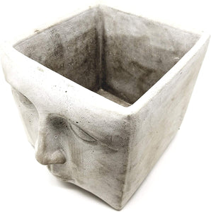 Planter Face Shaped Square flower pot for succulents or favorite house plant