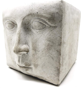 Planter Face Shaped Square flower pot for succulents or favorite house plant