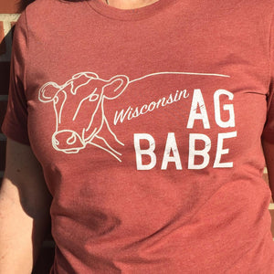 Wisconsin Women's Apparel T-Shirt